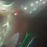 自游自醉