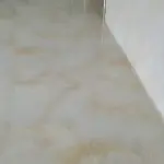 蓝色洋洋