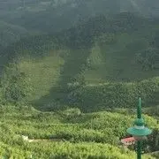 ♥阿★四♥