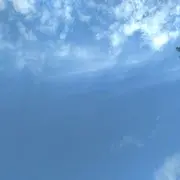 风雨和彩虹并存