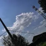 铥铥💕Love帅哥