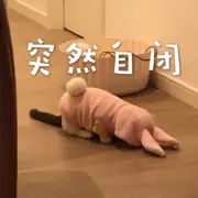 仙女宝宝c