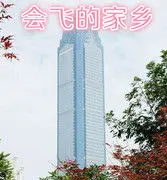 静2992琳