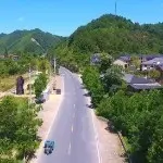 情一动，心就痛？