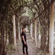 印度尼西鸭.