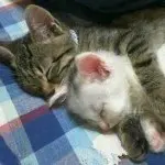 因我而心暖
