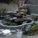 奶奶的：忘情红烧肉