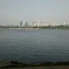 小金蛋u