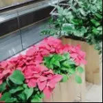 雨嘉💓💓