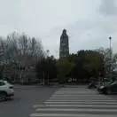 陌上青花yl