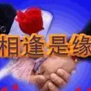 知心好友q