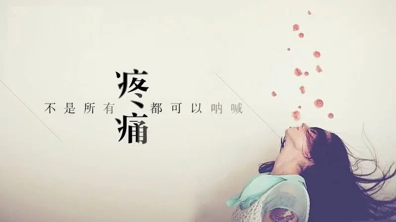 ℤℂ默默❤守候的主播照片