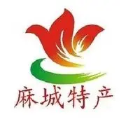 麻城土特产专营店