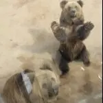 上下三秒钟