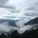 羙花子