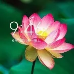 修仙大帝2