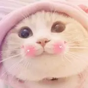 ☀░▒▓▒░☀