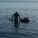光头灰太狼