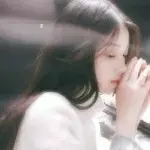 春花陪伴可爱橙