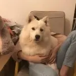 我马上就凉凉了