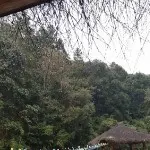 左哼哼哼右哼哼哼
