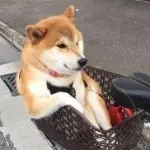 ☞广东～一笑无忧
