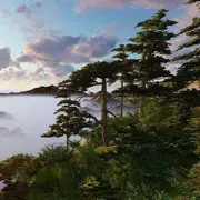 毛嘎啦