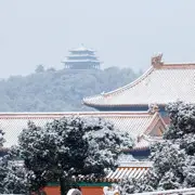 雪玉迷玲