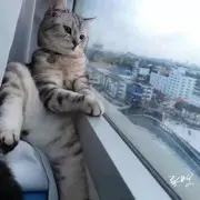 芊芊她不香吗？