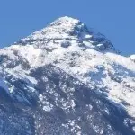 238550498