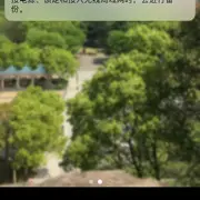 专业看美女。6466