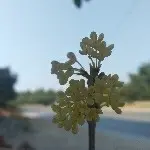 情话太烫嘴🙆💋