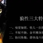 社会╰☆雪狼佛