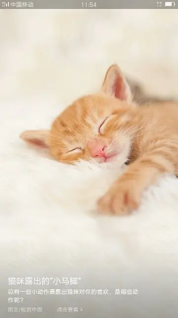 梦💞洁的主播照片