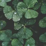 浮光掠影123