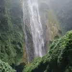 原来糖是甜的
