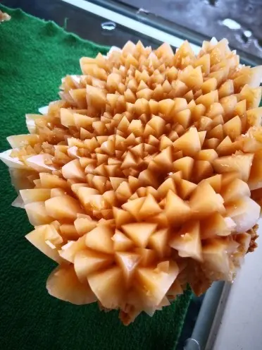 ~四海为家~x的主播照片