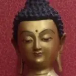 👉真好，真好👉