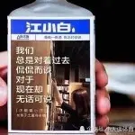 渣渣🍒江小白