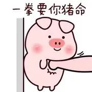夜猫族🐱🐷