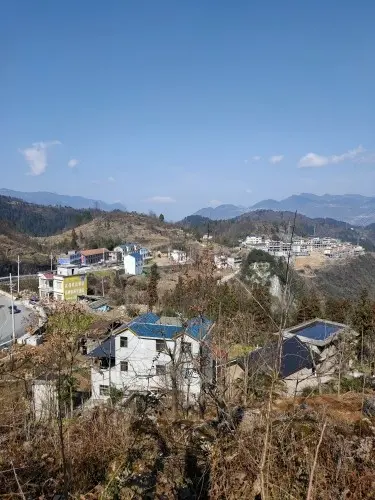 乡村生活晓胖的主播照片