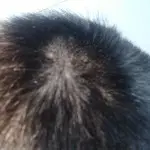 二十一次