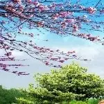 昵称违规，请重新修改