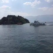 ⋯小羊羊…
