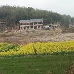 美好生活前行