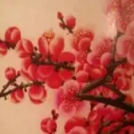 简单就好mpn