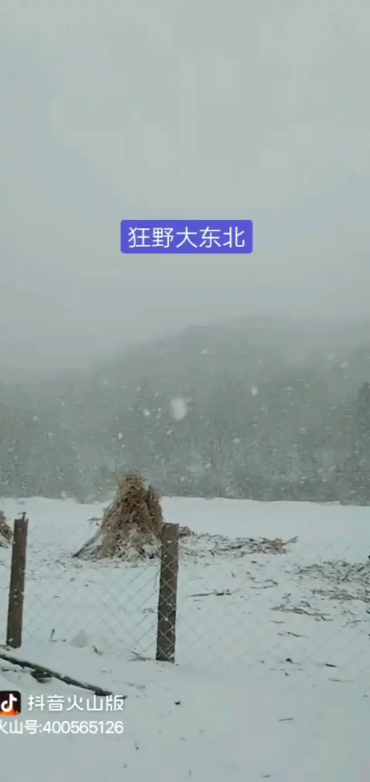 狂野大东北，2020，5@3月