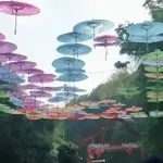 开心快乐💋