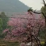 我幽会来了