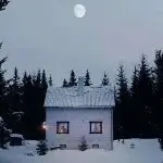 水无情意